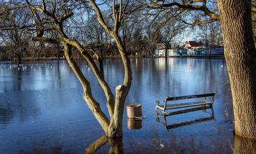 For snart tre år siden løb Harrestrup Å over sine bredder under en stormflod, så en park med fodboldbane i Hvidovre blev omdannet til en sø. Siden er ti kommuner gået sammen i et samarbejde om åen.