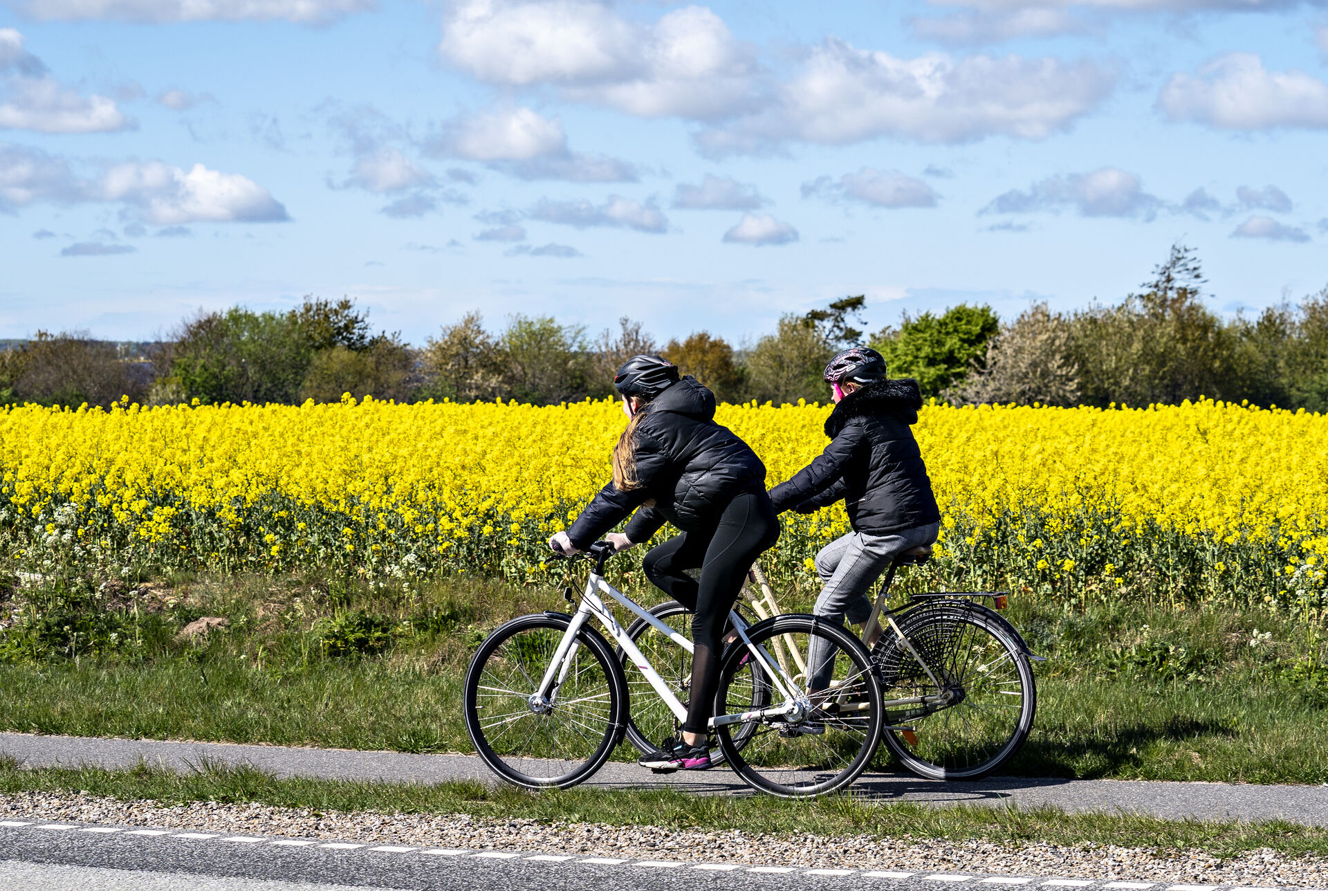 De Har Det Bare Bedre Ude På Landet End Inde I Byerne 