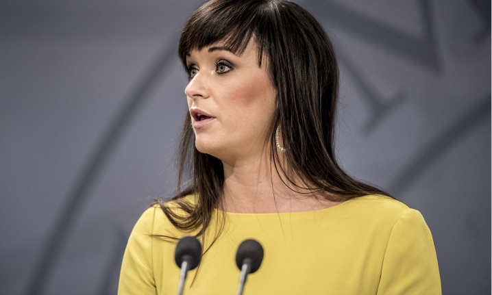 Formålet var at sætte nogle hjørneflag for forhandlingerne, men Minister for offentlig innovation Sophie Løhdes tre dage med væg-til-væg optræden i medierne udløste i stedet en massiv shit-storm mod hendes person.