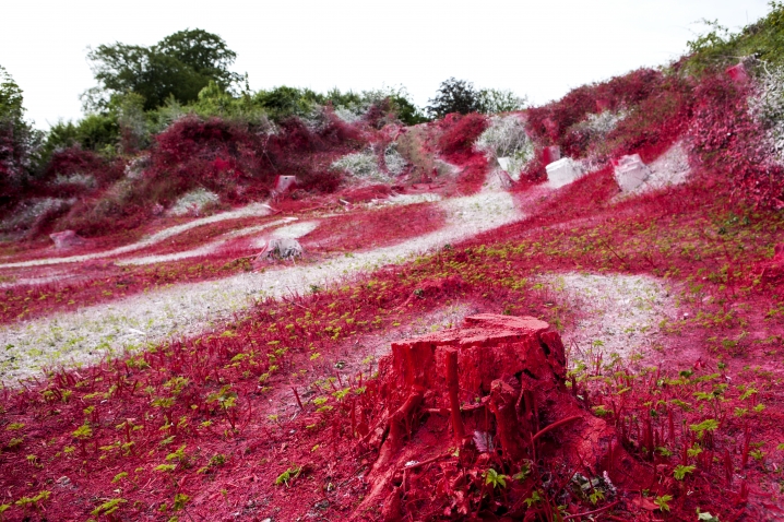 Sidste sommer vakte den tyske kunstner Katharina Grosse opsigt med dette landskabsmaleri i Mindeparken i Aarhus.