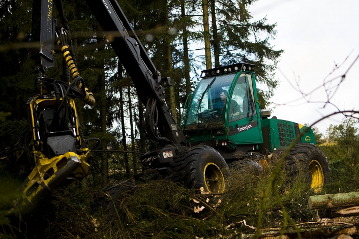Reportage om forskellige store skov-maskiner i Danmark.<br />En del af vores naturlovgivning er en forrykt forpligtelse til at forarme en væsentlig del af Danmarks natur og eliminere levestederne for hundredvis af truede arter, skriver Rune Engelbreth Larsen.
Foto: Jesper Ørgaard Sørensen, Polfoto.<br />